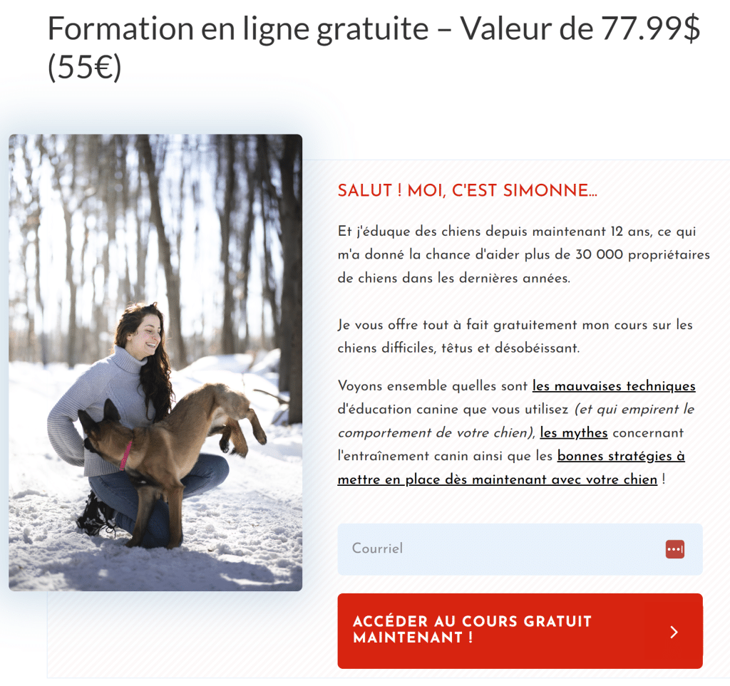 Exemple de lead magnet, cours gratuit!