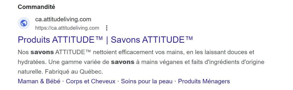 Exemple de publicité Google Ads