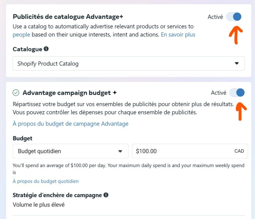Ensuite, choisis l'option "Publicités de catalogue Advantage+" et sélectionne ensuite ton catalogue de produits. Ensuite, choisis l'option "Publicités de catalogue Advantage+" et sélectionne ensuite ton catalogue de produits.